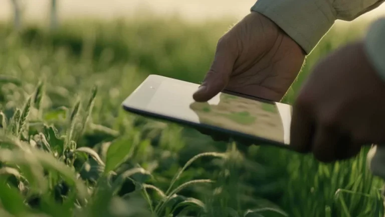 UMA VOZ PARA COMUNICAR A AGRICULTURA E A FLORESTA