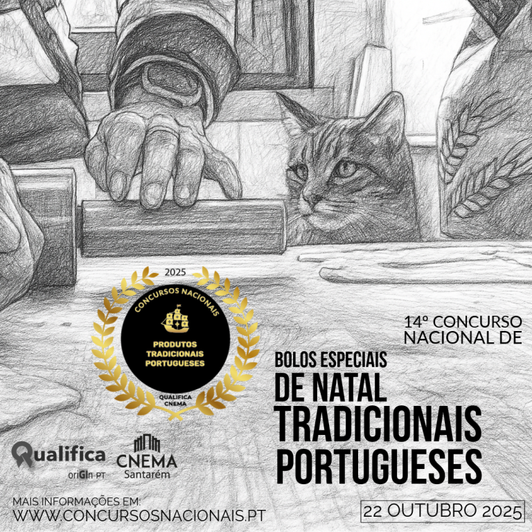 14º Concurso Nacional de Bolos Especiais de Natal Tradicionais Portugueses 