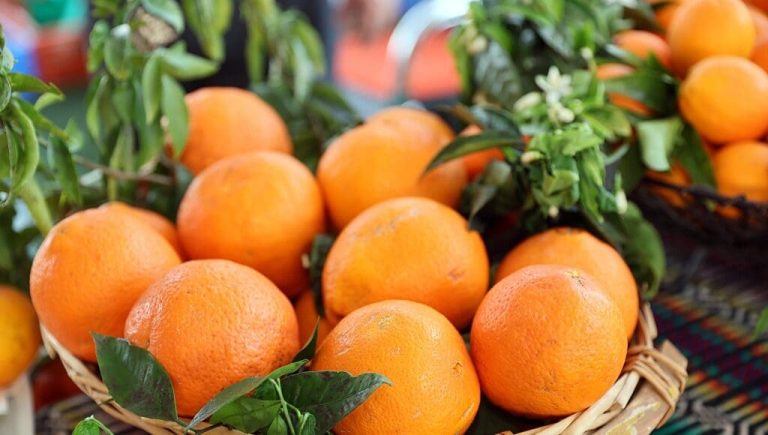 COLÓQUIO “LARANJAS DE PARDAIS – O CAMINHO DO RECONHECIMENTO”